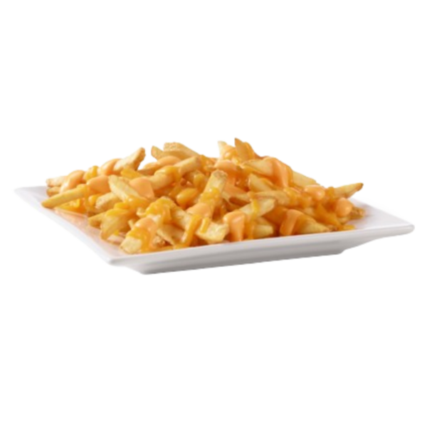 Cheddar Cheese Fries Appetizers